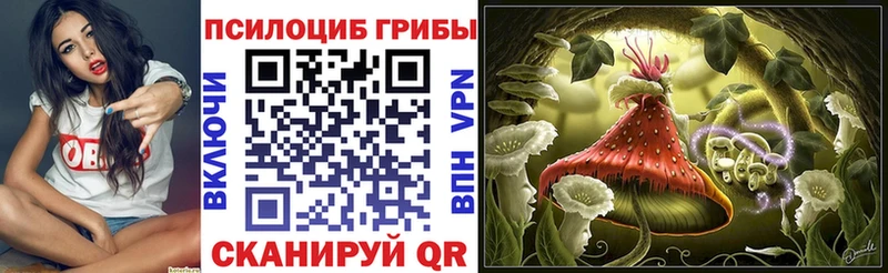 Галлюциногенные грибы Magic Shrooms Абакан